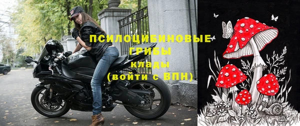 мет Касимов