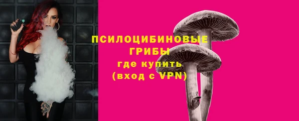 мет Касимов