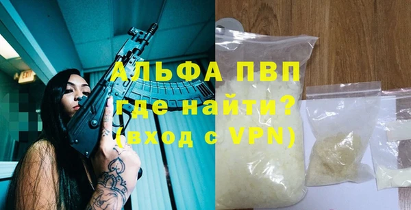 стаф Киренск
