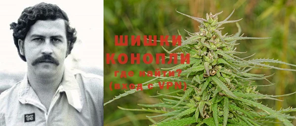 стаф Киренск