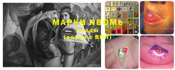 мет Касимов